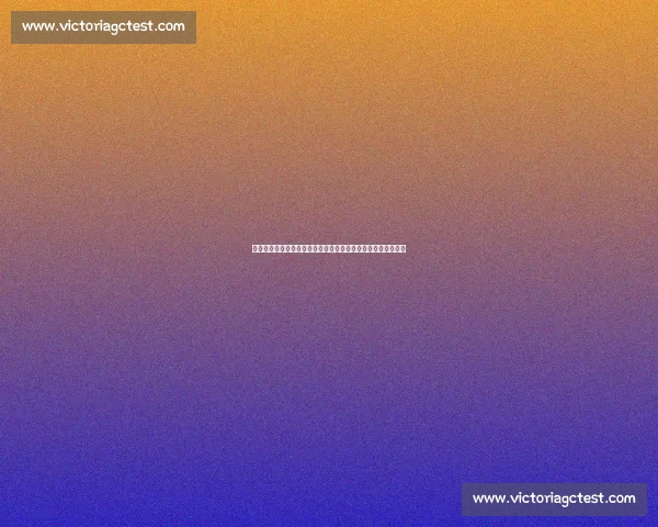 体育中国比分即时更新：最新赛事数据与实时比分动态全面解析